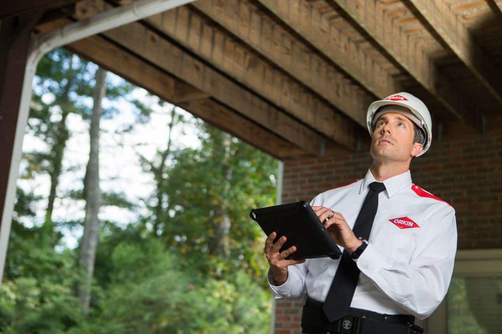 Home Inspection Orkin of Northeast Arkansas